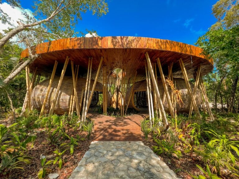 lugar de meditación rodeado de distintas plantas