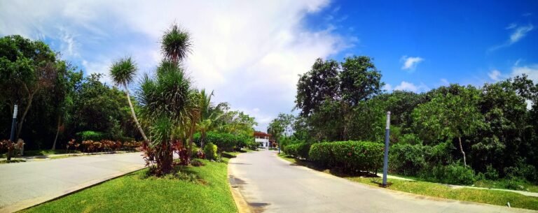 camino que lleva a entrada de lotes y macrolotes