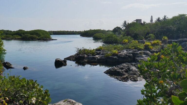 vista de laguna privada en complejo residencial