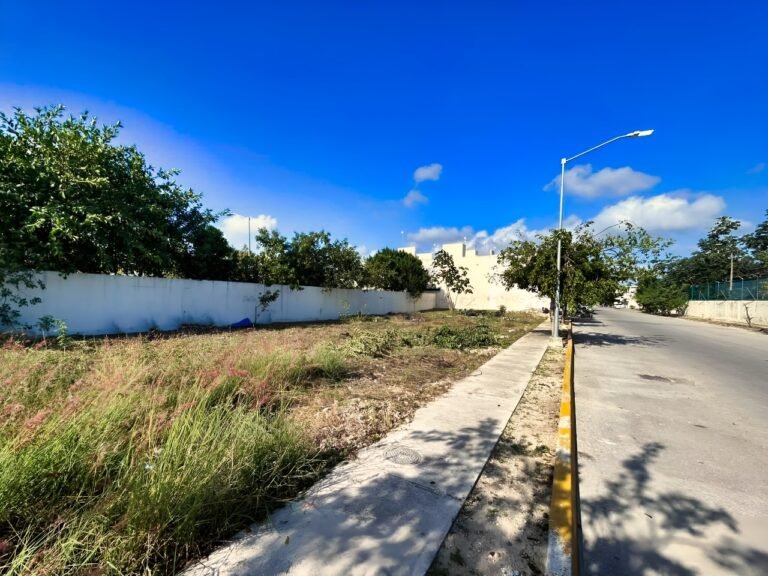 lote comercial vista de frente